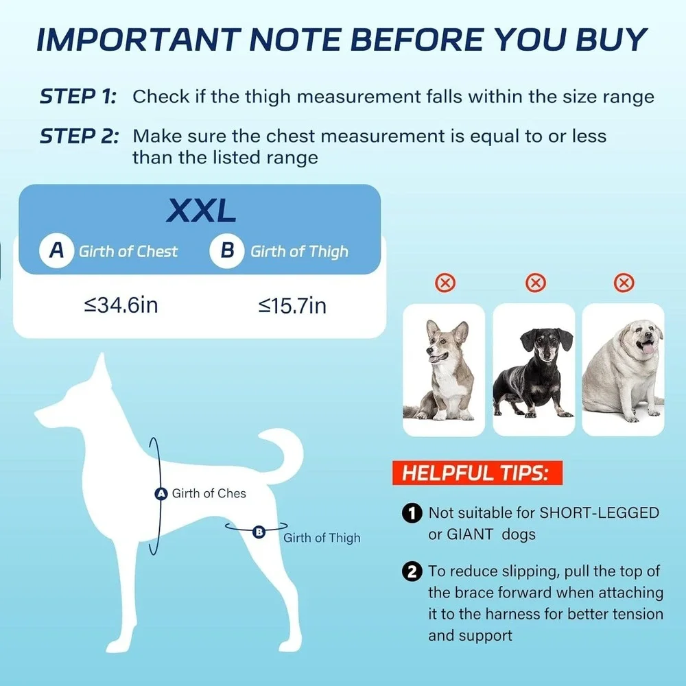 Adjustable Dog Knee Brace for Back Leg Injuries ACL-CCL Support Size XXL